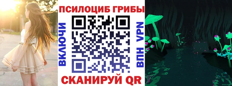 купить наркотик  Ивангород  Псилоцибиновые грибы MAGIC MUSHROOMS 